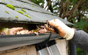 gutter cleaning Blackstone